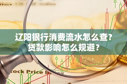 辽阳银行消费流水怎么查?贷款影响怎么规避?